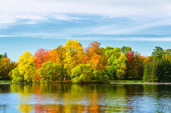 Farbenfroher Herbstpark — Stockfoto