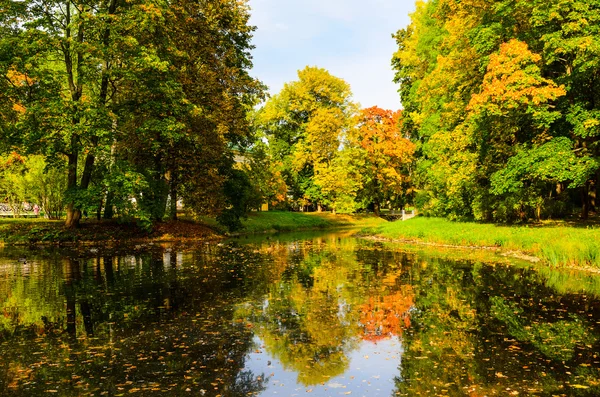 Kleurrijke herfst park — Stockfoto