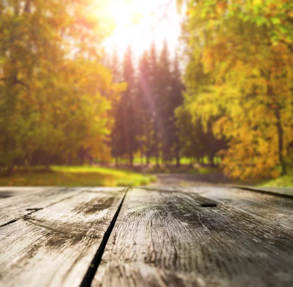 Wooden table in forest — Stock Photo, Image