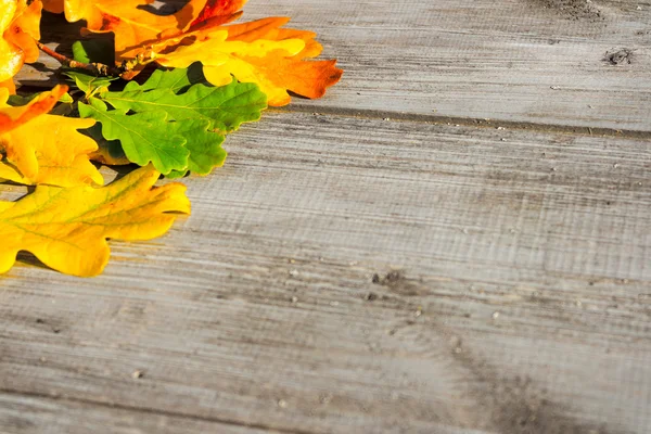 Herfstbladeren op een tafel — Stockfoto