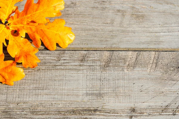 Herfstbladeren op een tafel — Stockfoto