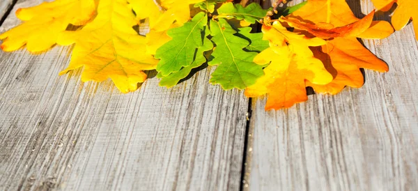 Foglie di autunno su un tavolo — Foto Stock