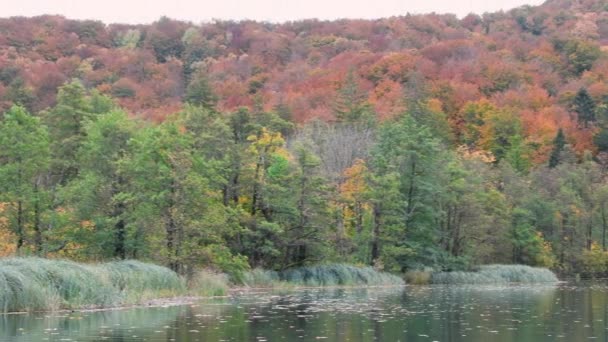 Herbstliche Plitvicer Seen — Stockvideo