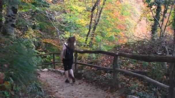 Lagos de otoño de Plitvice — Vídeo de stock