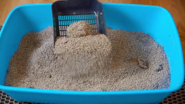 Limpieza de arena para gatos en casa — Vídeos de Stock