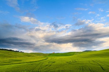 Tuscany manzara, Toscana, Italy