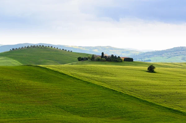 Pôr do sol paisagem da Toscana — Fotografia de Stock