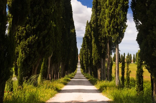 Toskánsko na šířku, Toscana, Itálie — Stock fotografie