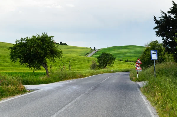 Paysage toscan, Toscane, Italie — Photo