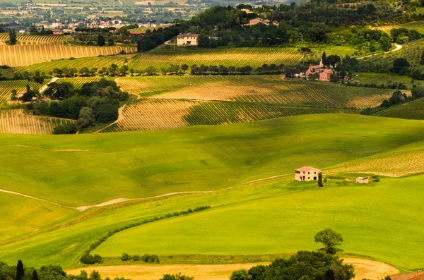 Toskana landschaft, toscana, italien — Stockfoto