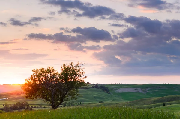 Pôr-do-sol na Toscana — Fotografia de Stock