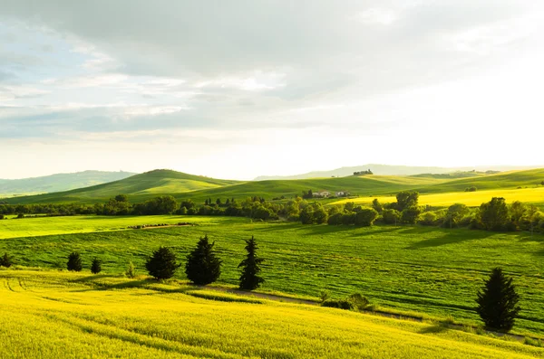 Tájkép, Toszkána, Olaszország — Stock Fotó