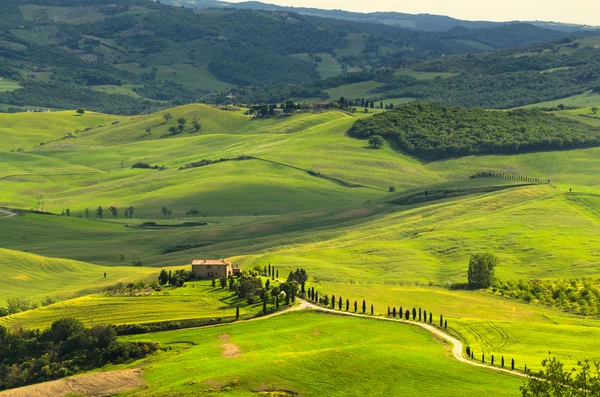 イタリアのトスカーナ風景を見る — ストック写真
