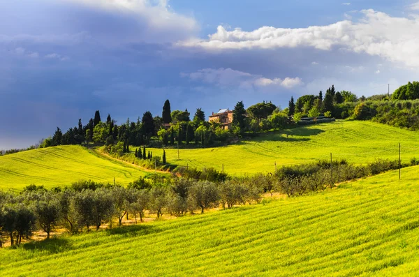 Вид на Пьяцца, провинция Сиена, Валь-де-Орсия в Тоскане, Италия — стоковое фото