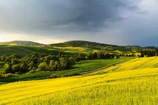 Vista do pôr do sol de pienza — Fotografia de Stock