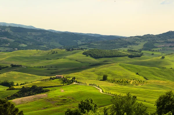 Widok na Pienza, Prowincja Siena — Zdjęcie stockowe