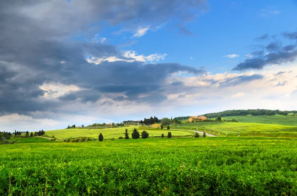 Kilátás Pienza, Siena megye — Stock Fotó