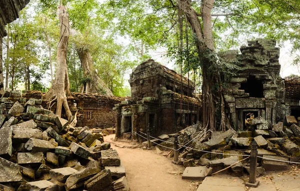 TA Prohm — Φωτογραφία Αρχείου