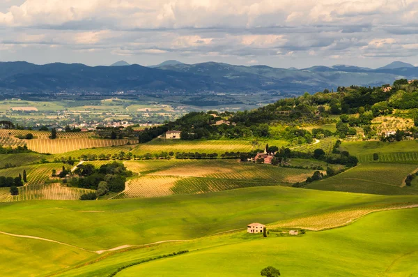 Toscana — Fotografia de Stock