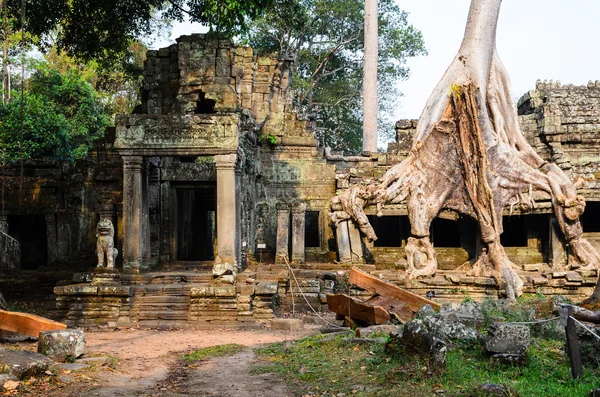 Preah Khan — Zdjęcie stockowe