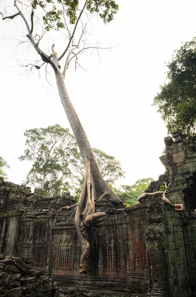 Preah Khan —  Fotos de Stock