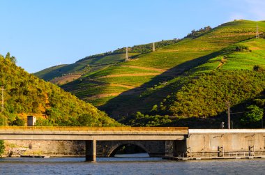 nehir Douro valley, Portekiz