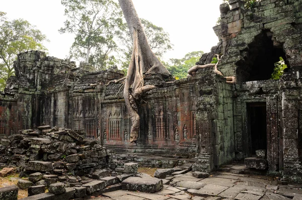 Preah Khan — Stock Photo, Image