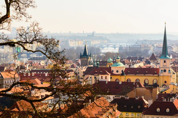 Prague — Stock Photo, Image