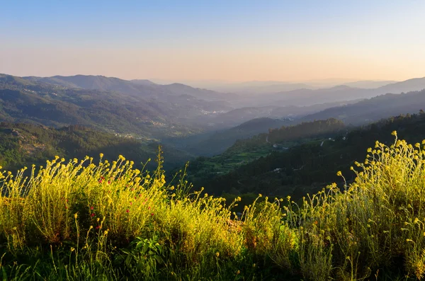 Peneda-Geres National Park — Stockfoto