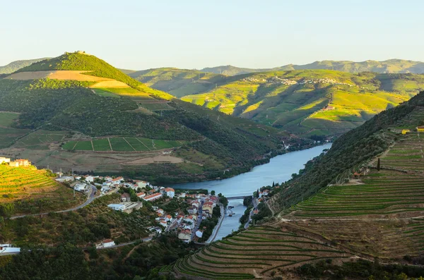 River Douro valley, Portugal — Stock Photo, Image