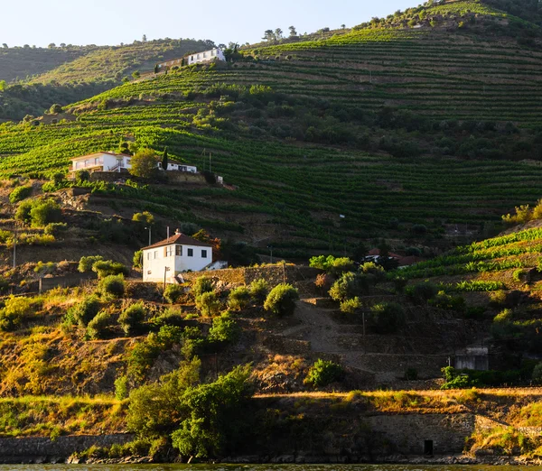 River Douro valley, Portugal — Stock Photo, Image