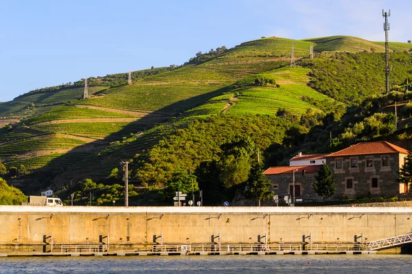 River Douro valley, Portugal — Stock Photo, Image