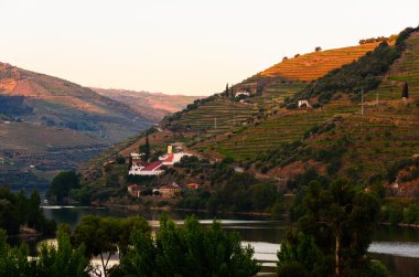 nehir Douro valley, Portekiz