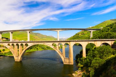 nehir Douro valley, Portekiz