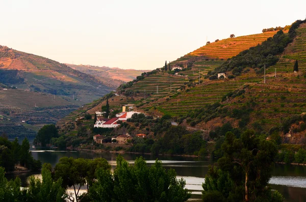 Dolina rzeki Douro, Portugalia — Zdjęcie stockowe