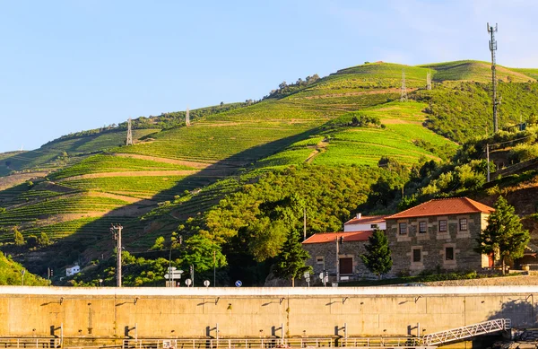River Douro valley, Portugal — Stock Photo, Image