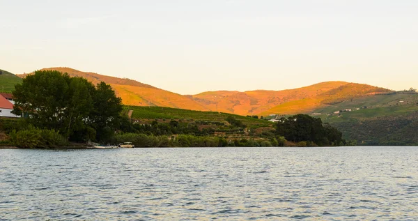 River Douro valley, Portugal — Stock Photo, Image