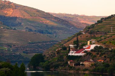 nehir Douro valley, Portekiz