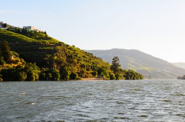 nehir Douro valley, Portekiz