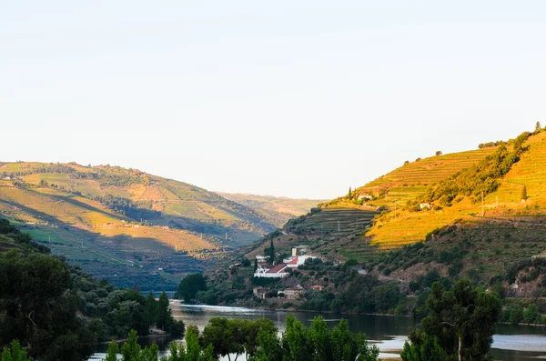 River Douro valley, Portugal — Stock Photo, Image