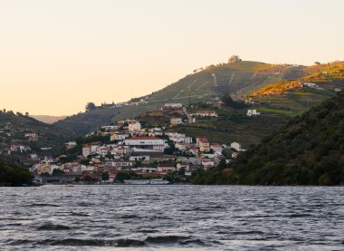 nehir Douro valley, Portekiz