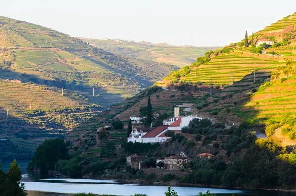 Valle del río Duero, Portugal —  Fotos de Stock