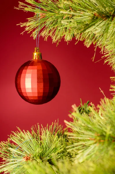 Christmas tree — Stock Photo, Image