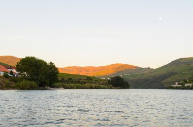nehir Douro valley, Portekiz