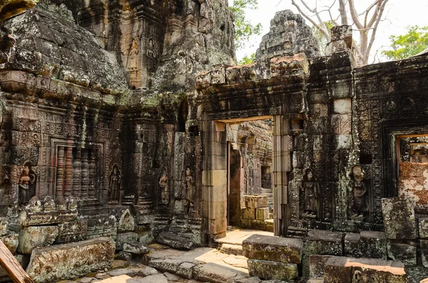 Ta Prohm — Fotografia de Stock