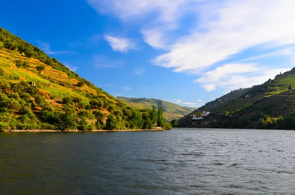 River Douro valley, Portugal — Stock Photo, Image