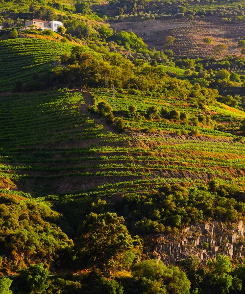 Rio Douro, Portugal — Fotografia de Stock