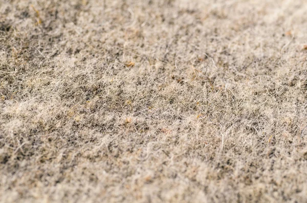 Tissu laine macro — Photo