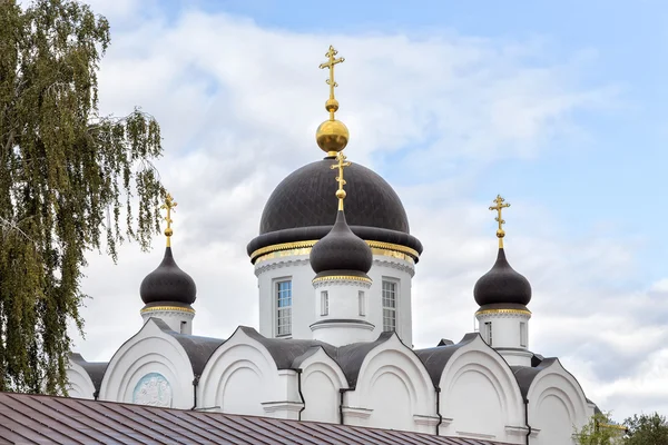 三一大教堂。圣吉洪变形修道院。Zadonsk。俄罗斯 — 图库照片
