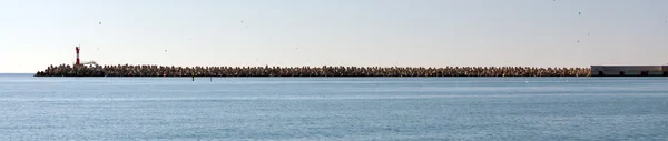 Blocos de betão quebra-mar. Sochi. Rússia — Fotografia de Stock